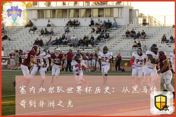 塞内加尔队世界杯历史：从黑马传奇到非洲之光
