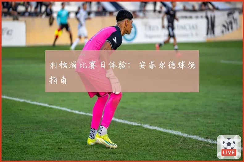 利物浦比赛日体验：安菲尔德球场指南