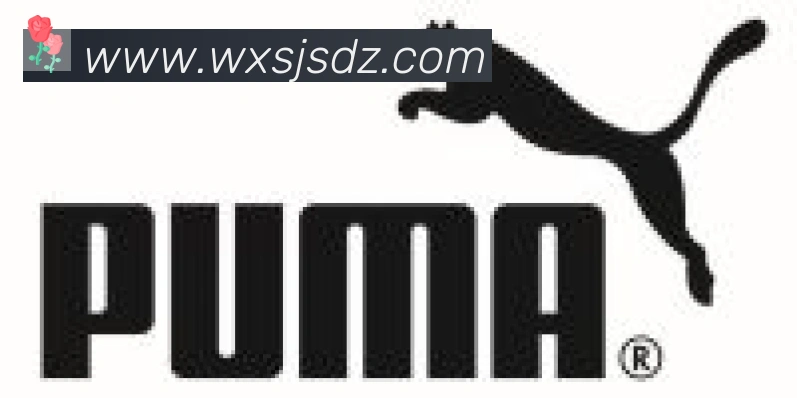 开云官方版网站登录入口合作伙伴